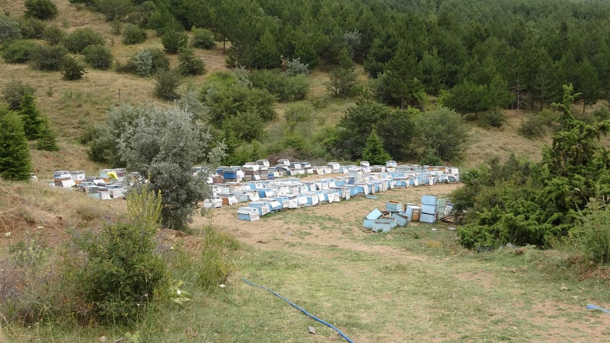 Türkiye’nin ilk milli parkında 