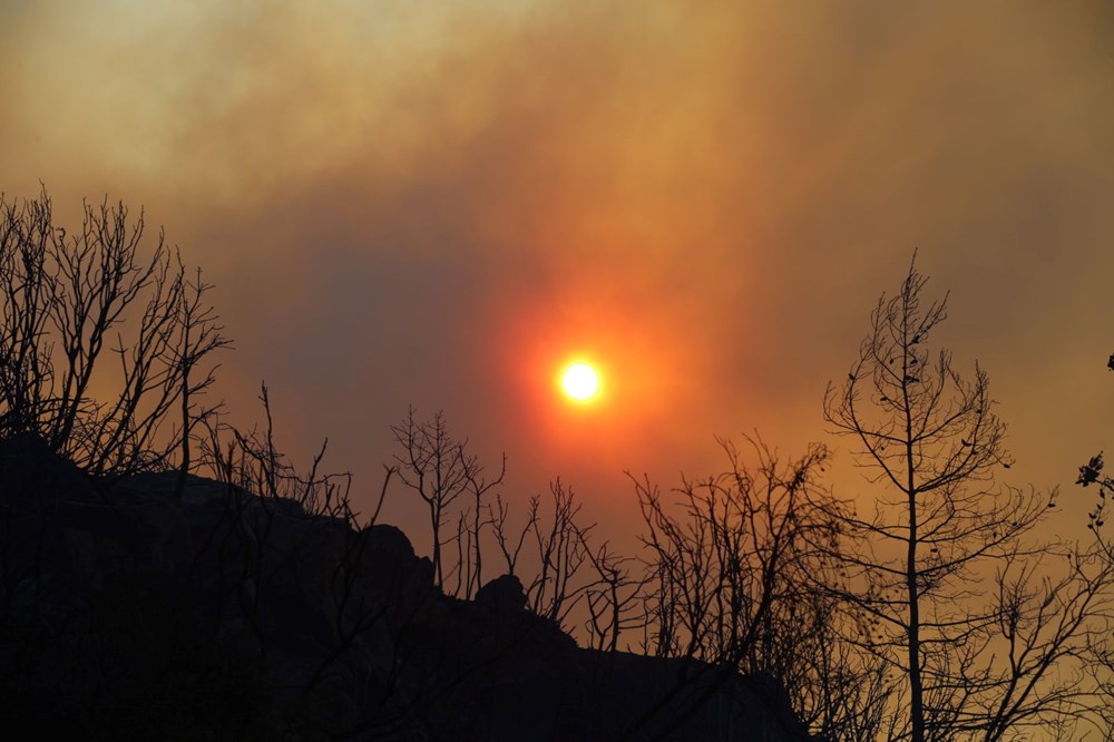 Antalya, Muğla ve Aydın'da orman yangınları: Alevler evlere ulaştı - 8