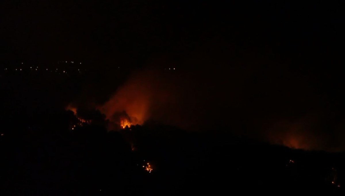 İstanbul Pendik'te orman yangını