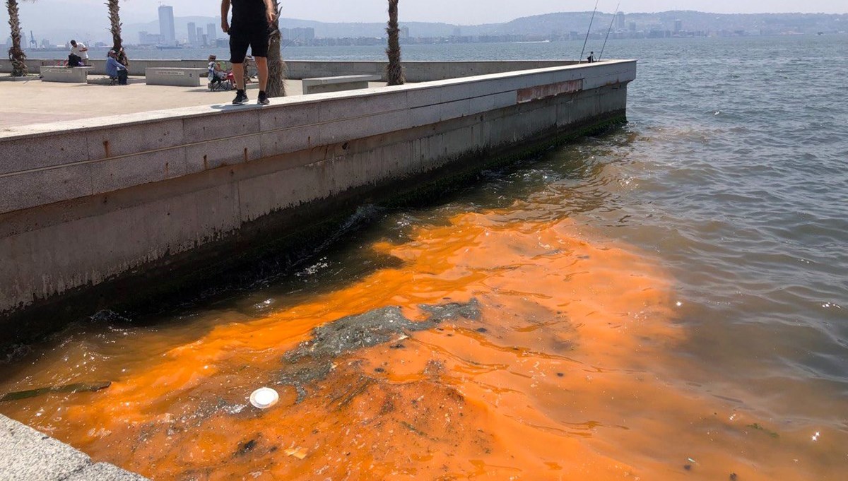 İzmir Körfezi'nde tedirgin eden İzmir Körfezi'nde tedirgin eden