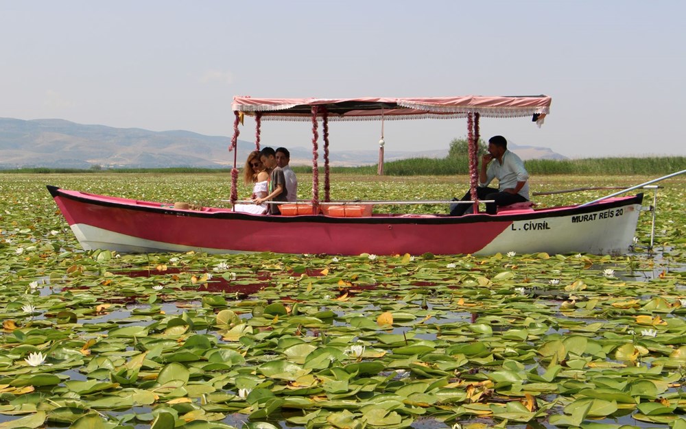 Işıklı Gölü’nde nilüfer turizmi: 100 bin ziyaretçinin gelmesi bekleniyor - 1