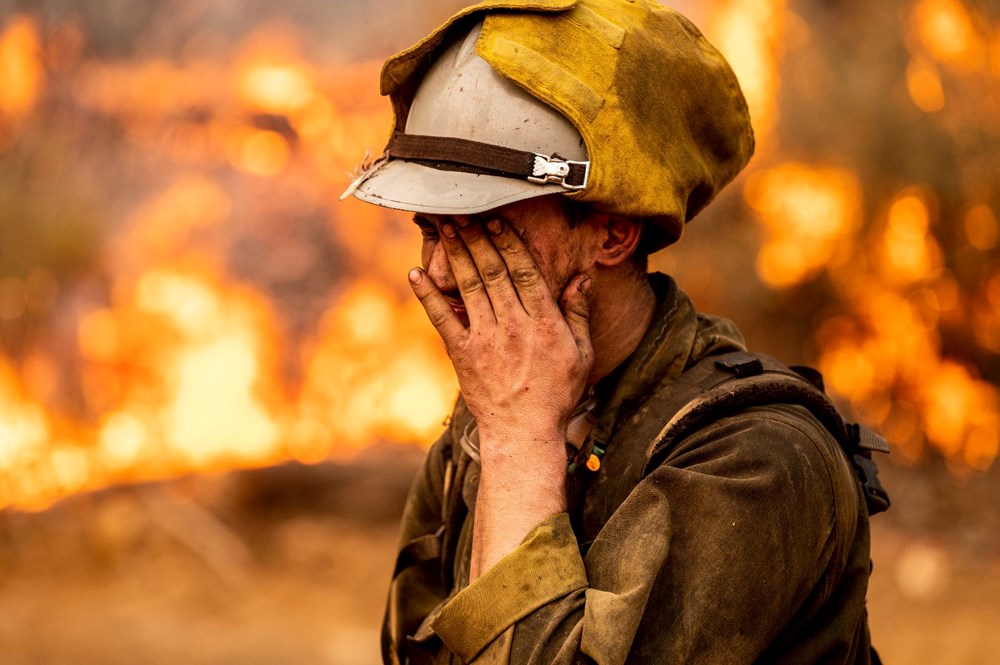 California'da orman yangını: 11 bini aşkın kişi tahliye edildi - 3