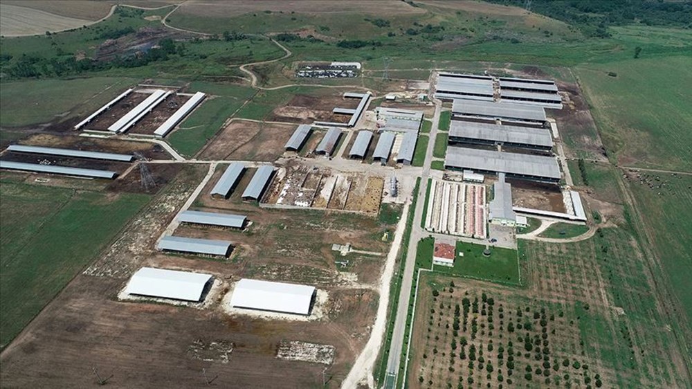 TİGEM 306 süreksiz emekçi alımı müracaatları 2025 başladı: TİGEM personel alımı müracaatları nasıl yapılır, kaideler neler? (İŞKUR mevsimlik personel alımı müracaat ekranı) 75 V4Y5fMeM00WbjLig3MYOcg