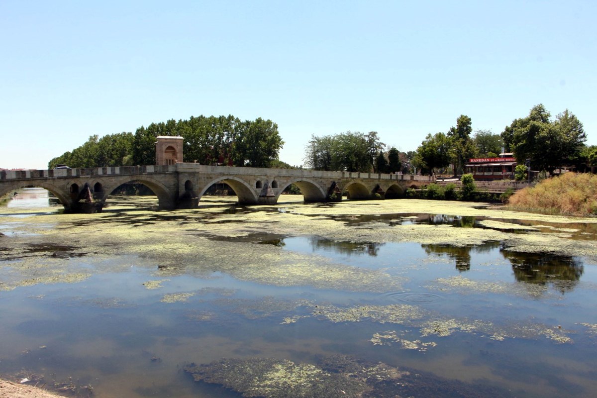 Debi düştü, Tunca Nehri yosunla kaplandı