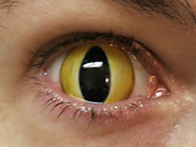 bu lenslerden gozunuz korkmasin magazin haberleri ntv