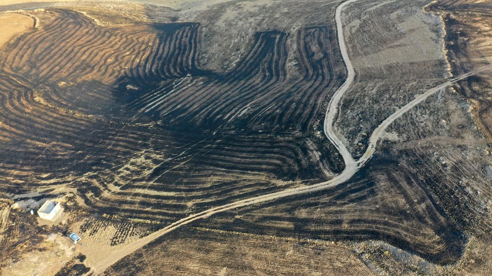 Diyarbakır ve Mardin arasında anız yangını: 5 can kaybı var, 10'u ağır 44 kişi tedavi altında - 9