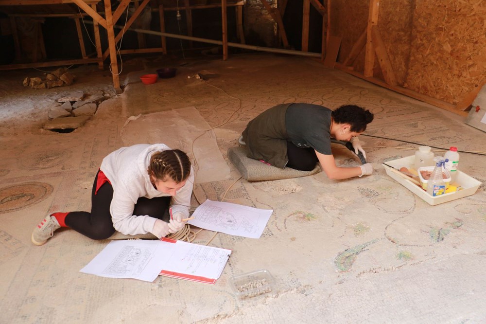 Balatlar Kazısı’nda, Zeugma'dakilere benzer mozaikler bulundu - 15