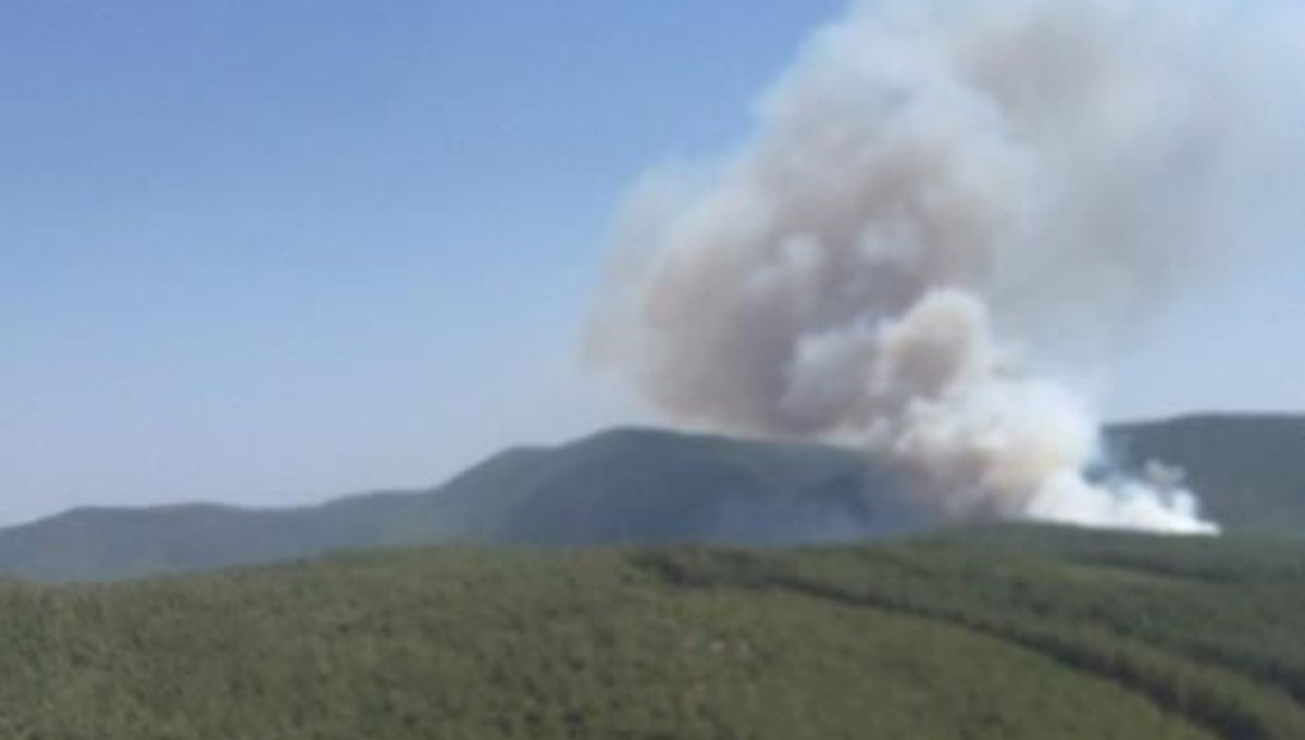 Bodrum'da orman yangını: Alevlere havadan ve karadan müdahale ediliyor