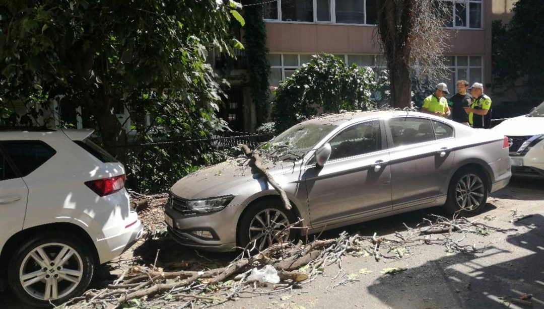İstanbul'da ağaç devrildi, park halindeki otomobil zarar gördü