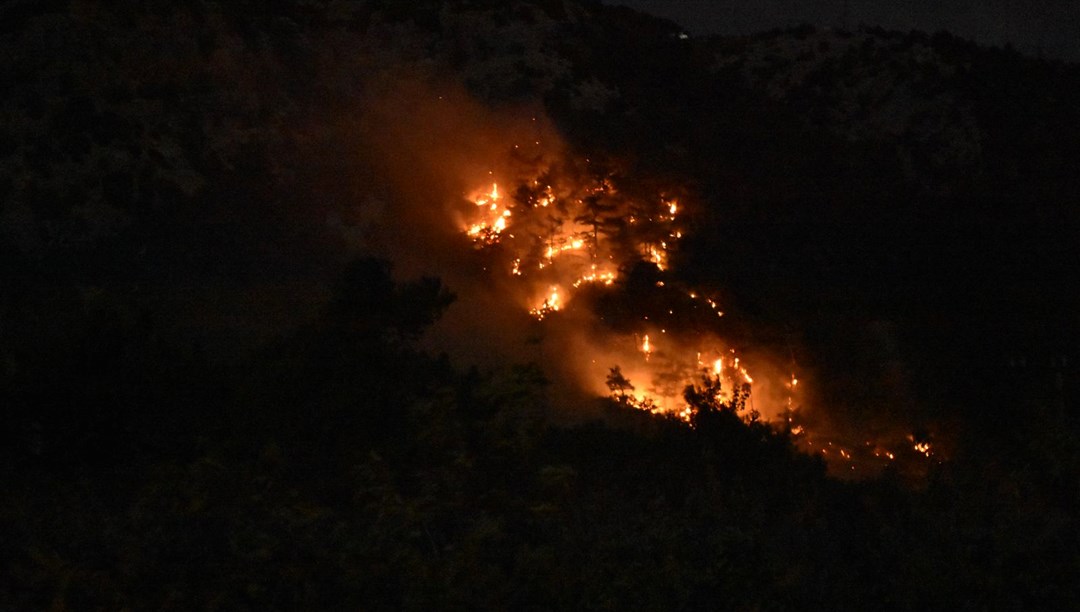 İzmir’de çıkan orman yangını kontrol altına alındı