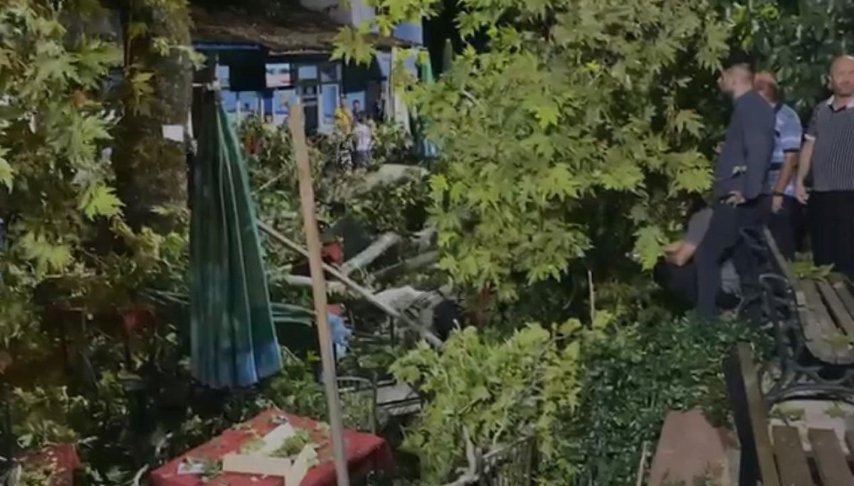 İzmir'de asırlık çınar ağacı devrildi: 6 yaralı İzmir'de asırlık çınar ağacı devrildi: 6 yaralı