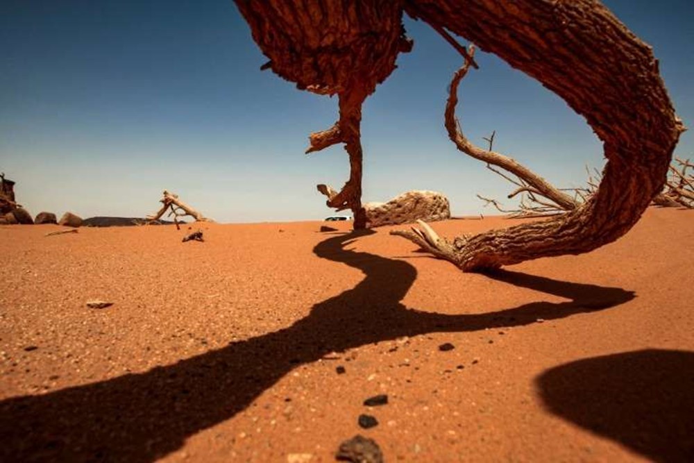 Altın avcıları Sudan'ın 2 bin yıllık tarihini yok etti - 3