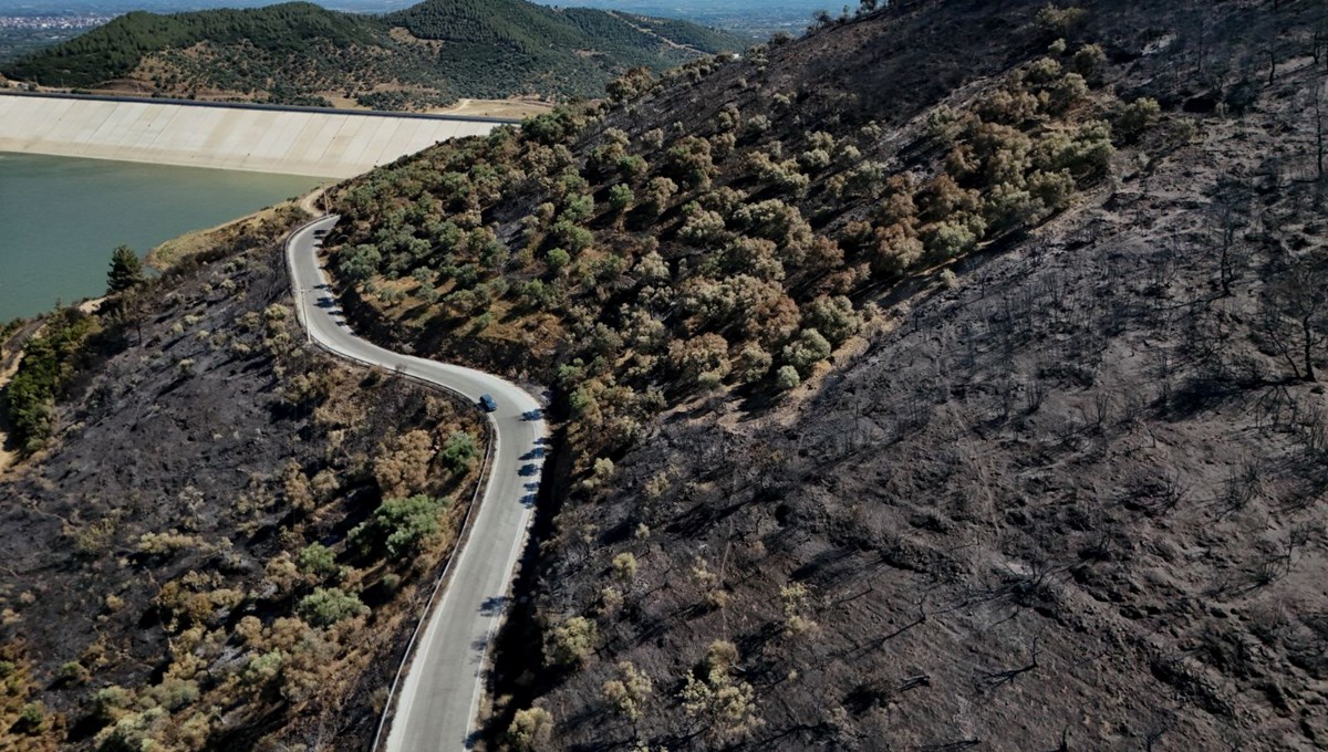 Ödemiş orman yangını