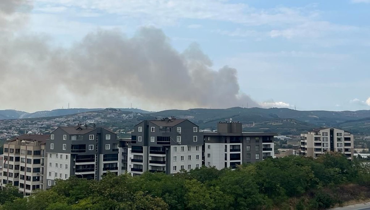 Bursa'da orman yangını