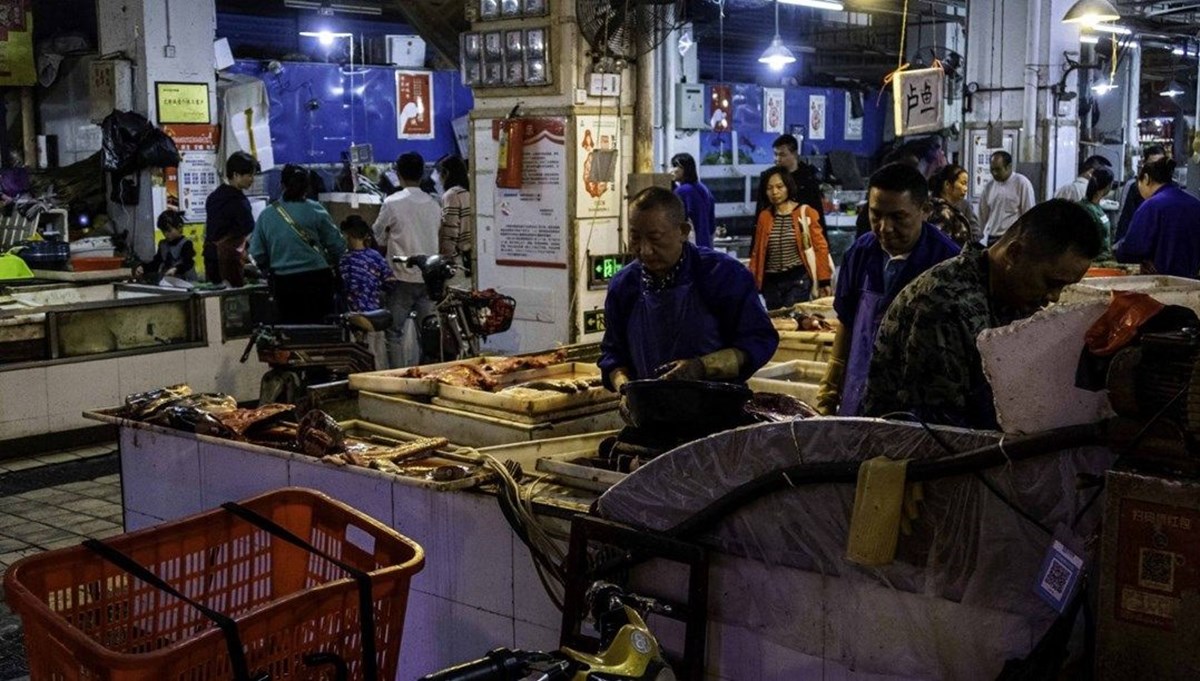 Araştırma: Covid-19 salgınının “merkezi üssü” Wuhan’daki hayvan pazarı