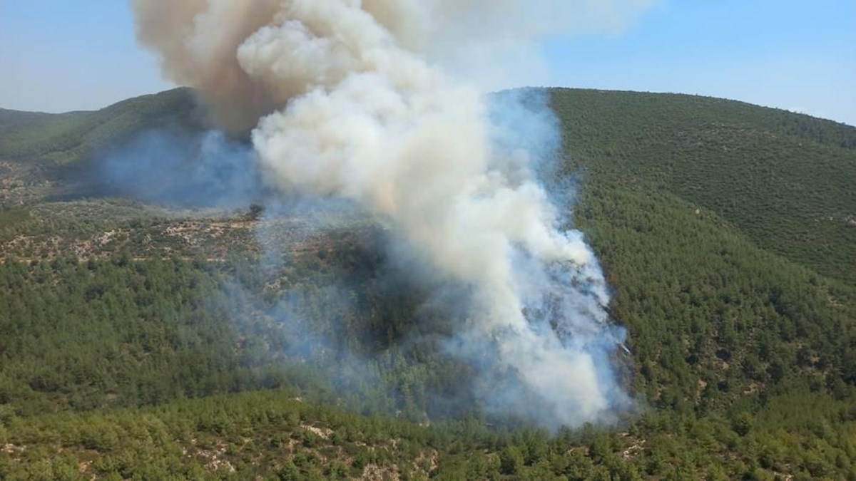 Bodrum'da orman yangını: Alevlere havadan ve karadan müdahale ediliyor