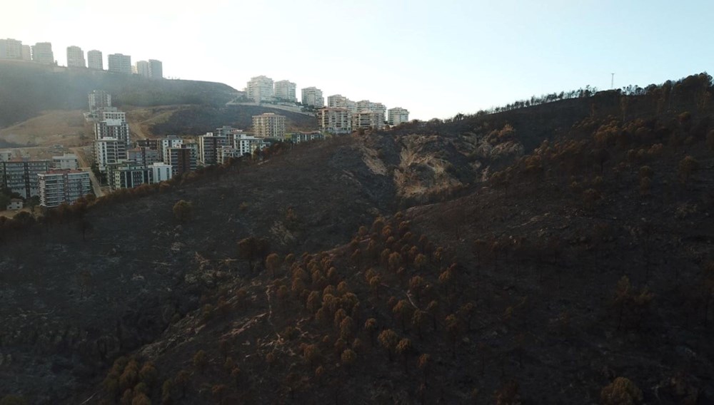 Orman yangınlarıyla mücadele | 8 noktada yangın devam ediyor, yerleşim yerleri tehdit altında - 20