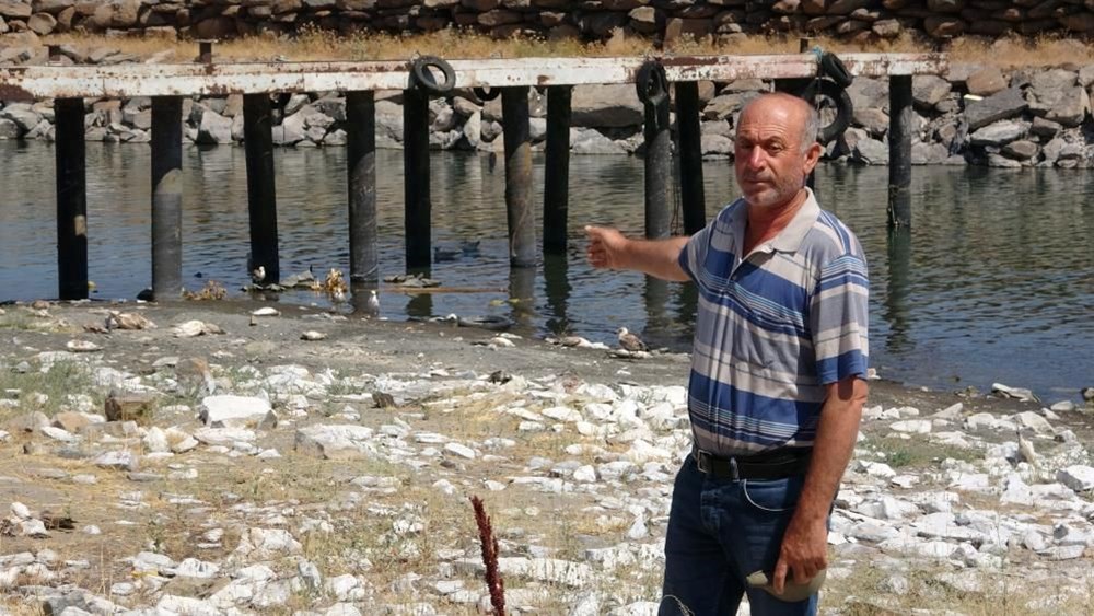 Van’da binlerce martı öldü, binlercesi de ölümü bekliyor - 4