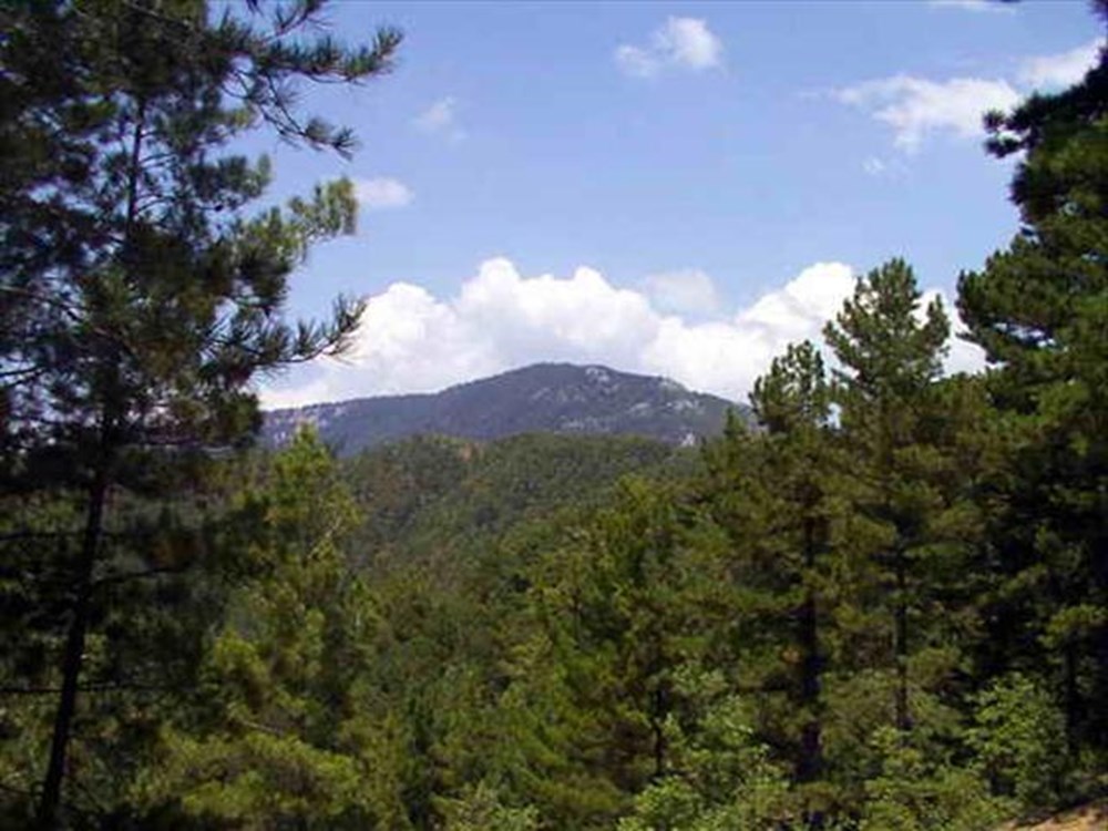 Türkiye'nin Milli Parkları (Türkiye'deki milli parkların listesi ve isimleri) - 7