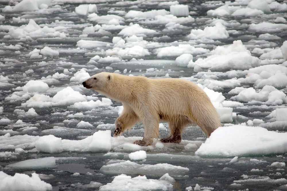 2100’e kadar Dünya üzerindeki buzulların yüzde 70’i yok olabilir: Milyarca insan tehlikede - 7
