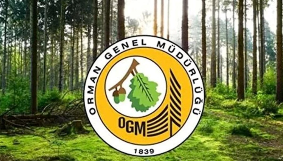 Orman Genel Müdürlüğü'ne 64 geçici işçi alınacak (OGM işçi alımı başvuru tarihleri ve şartları)