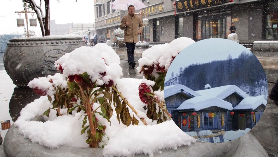 Tatil köyünde sahte kar skandalı: "Zekama hakaret edildi"