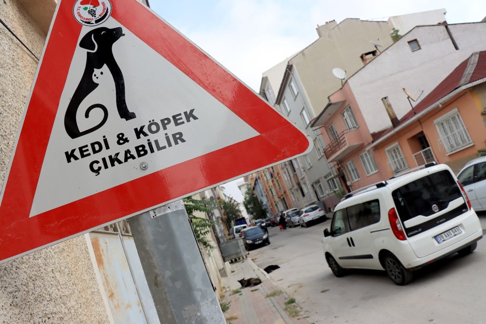 Kırklareli'nde sürücüler 'kedi-köpek çıkabilir' tabelalarıyla uyarılıyor - 5