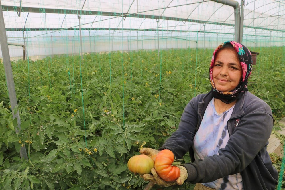 Tarladan Sofraya Fiyat Uçurumu: Neden 28 TL'lik Ürün Marketlerde 60 TL? 74 VPz lL1v5Eqzt6WYZ2lpZA