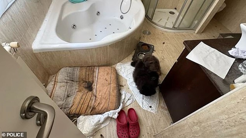 İspanya'daki korku evi: Hasta sandıkları çocuklarını 4 yıl eve kapattılar! - 4