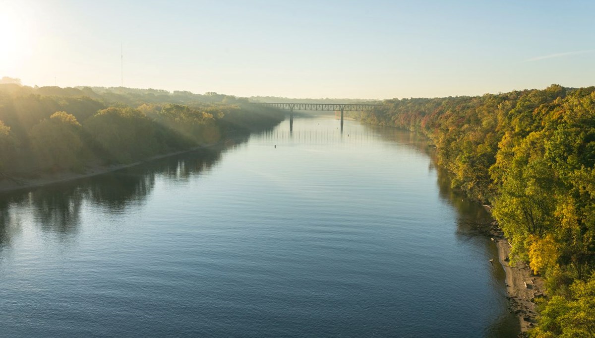 Mississippi Nehri'nde buzul çağına ait iki nadir fosil keşfedildi