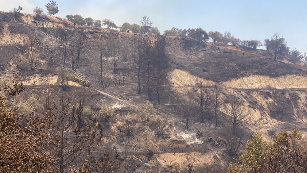 3 ilde yangın felaketi: 50 bini aşkın kişi tahliye edildi - 14