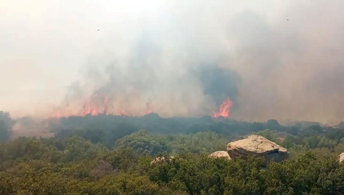 Çanakkale'deki orman yangını kontrol altında