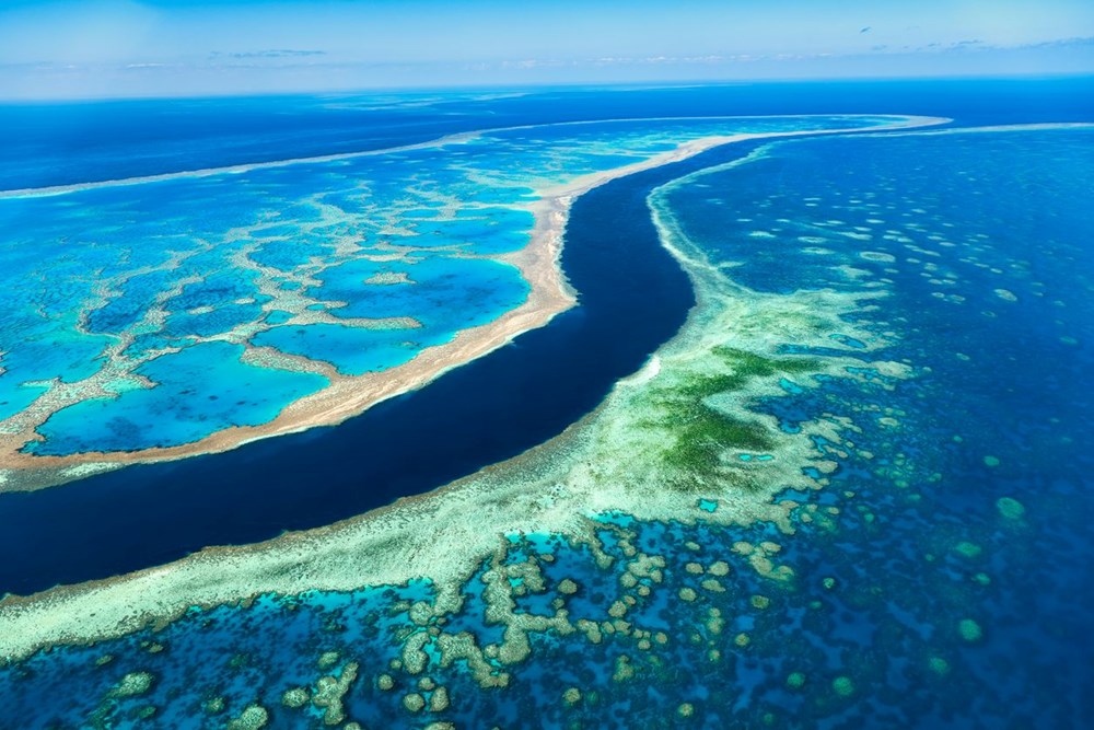 BM ve Avustralya karşı karşıya geldi: Büyük Set Resifi - 12