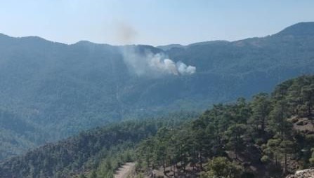 Muğla'nın Köyceğiz ilçesinde orman yangını