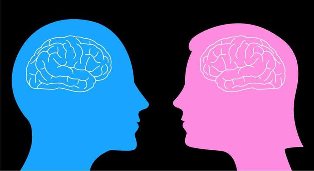 Erkek ve kadın beyni birbirinden farklı mı çalışıyor? Yaygın inanış çürütüldü - 1