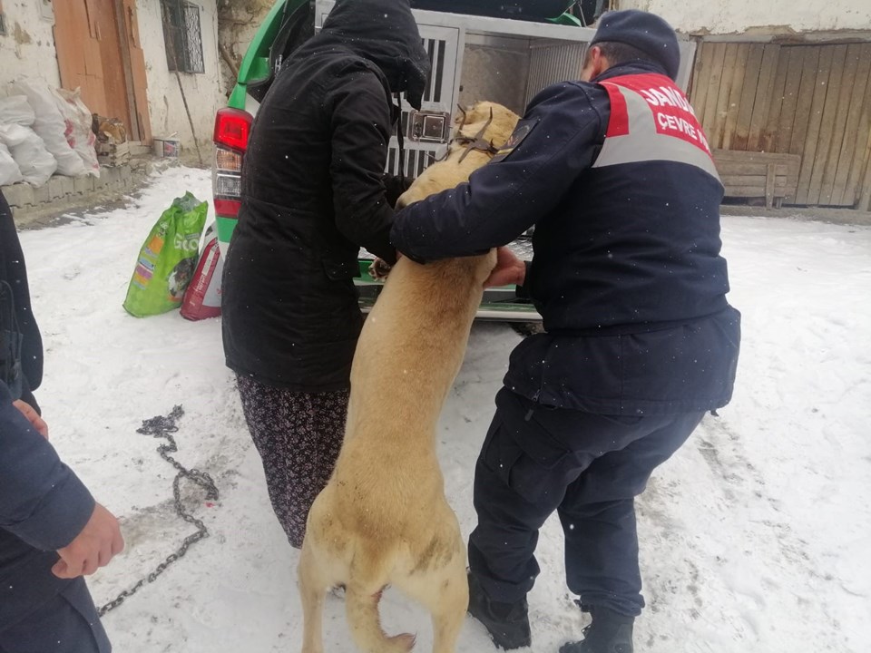 Kendisine havladı diye köpeği tüfekle vurdu - 1