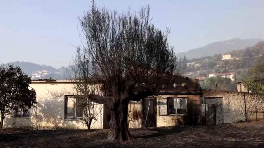 Akdeniz alev aldı: Yunanistan ve İtalya’da orman yangınları sürüyor - 39
