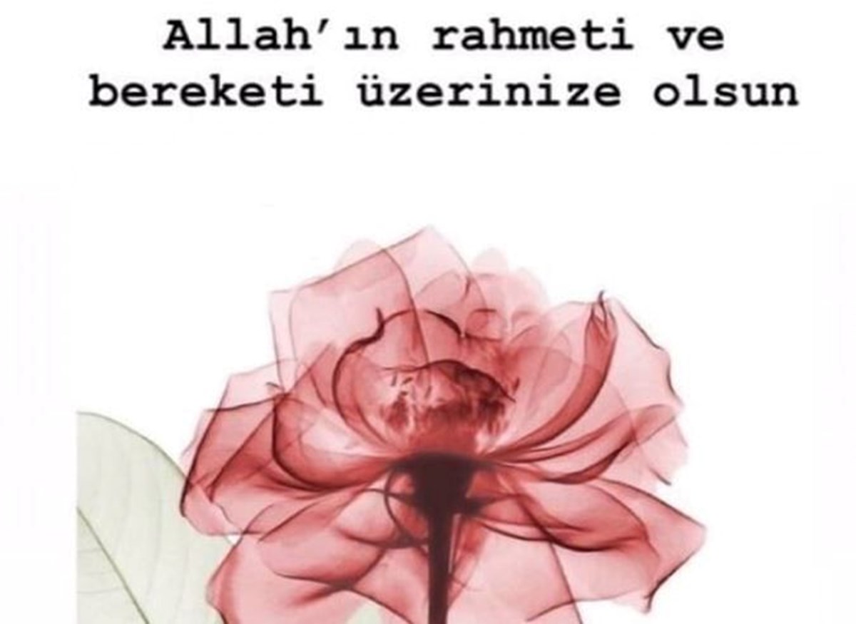 VXtnNWJOrky46XdIvgJL1A.jpg