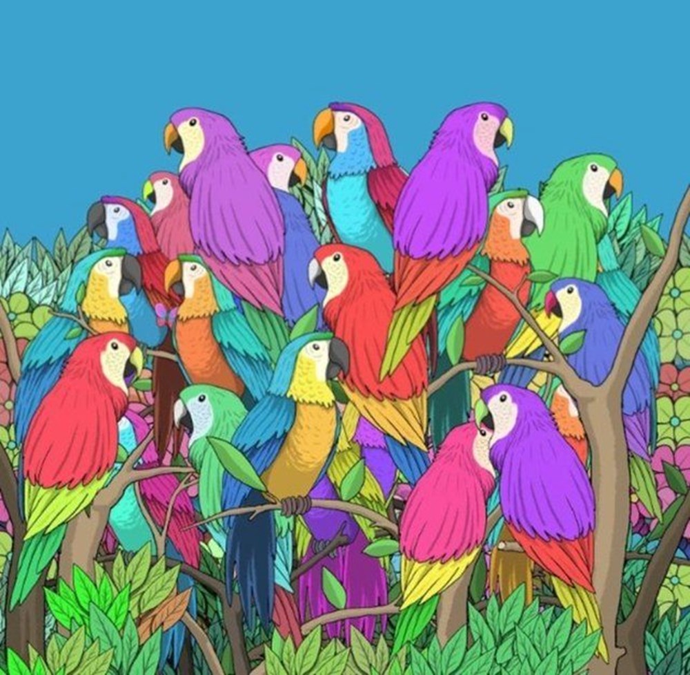 Bu görsel size kim olduğunuzu söylüyor: Resimde ilk önce hangi hayvanı gördünüz? - 3