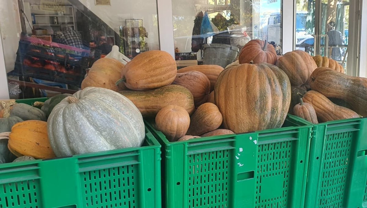 Kimyasal kullanmadan doğal yöntemle ürettiler