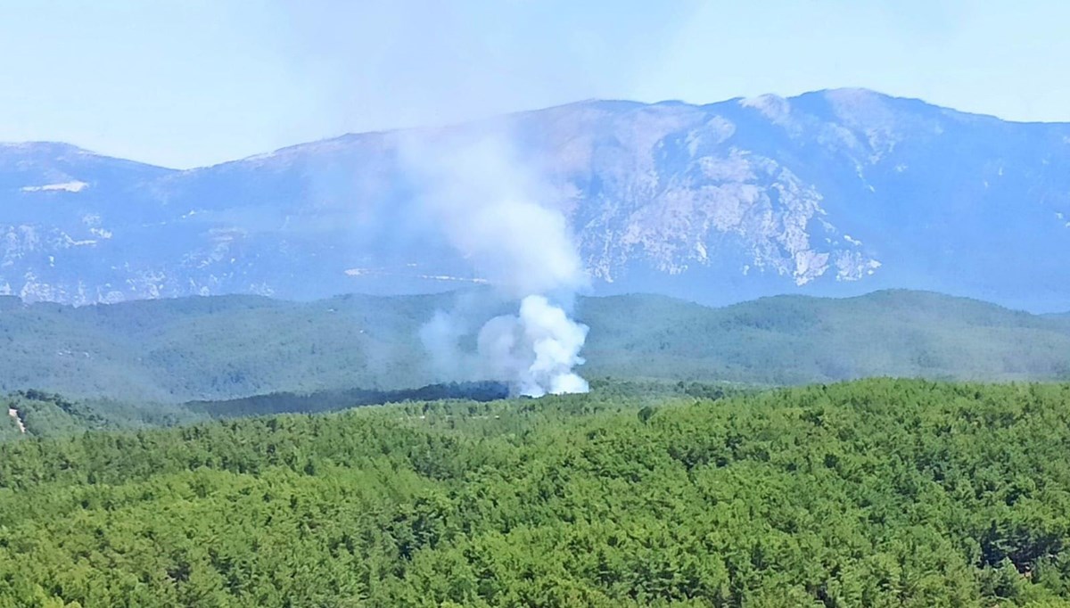 Muğla’da orman yangını (Havadan ve karadan müdahale başladı)