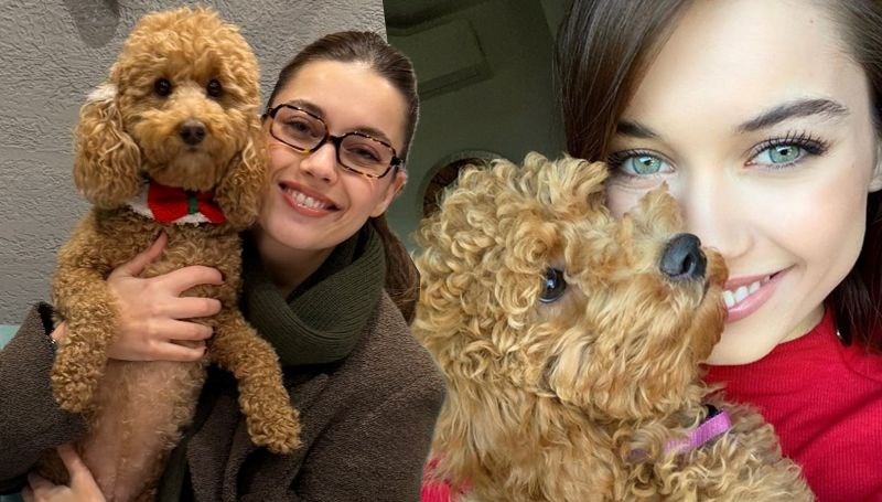 Yalı Çapkını yıldızı Afra Saraçoğlu'ndan köpeği Nagi'ye: İyi ki doğdun kızım