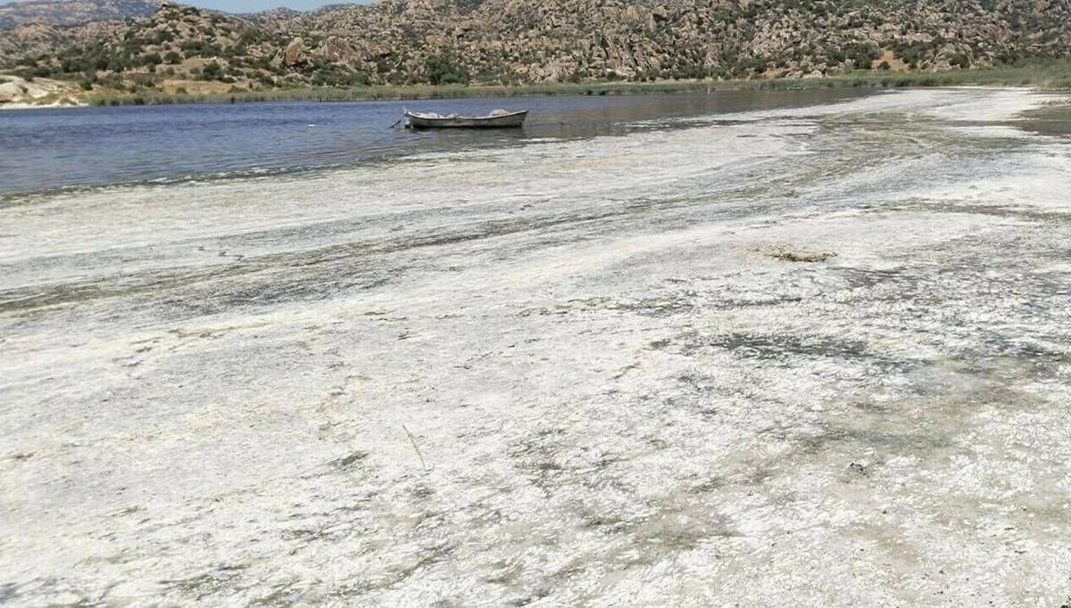 Bafa Gölü'nde kuraklık ve kirlilik alarmı