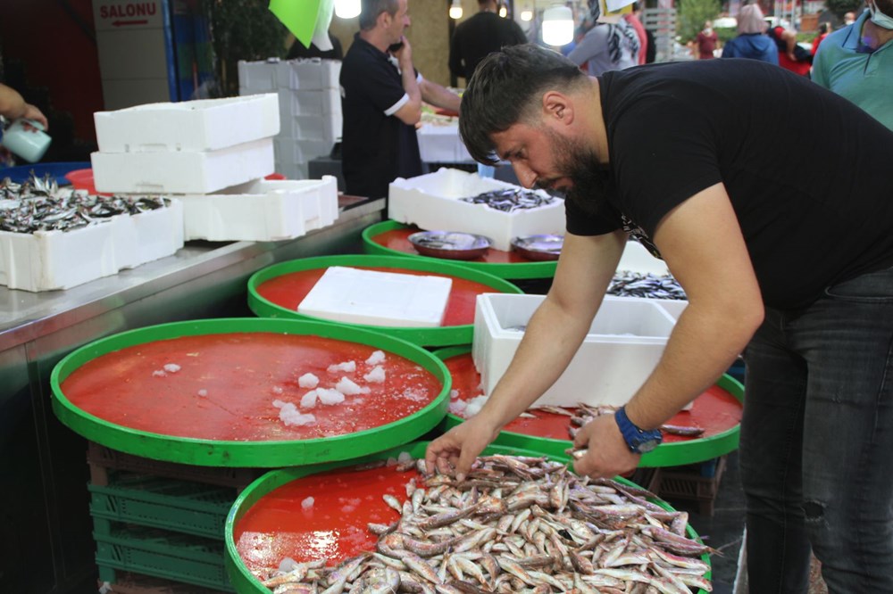 Rize’de kilo fiyatı 5 TL’ye düşen istavrit, kasayla satılıyor - 5