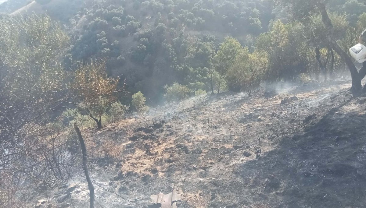 Kaynak yaparken zeytinliği yaktılar: 2 kişi gözaltında Kaynak yaparken zeytinliği yaktılar: 2 kişi gözaltında