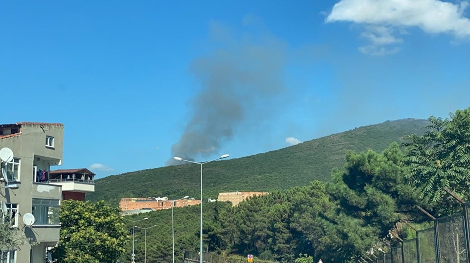 Maltepe'de ormanlık alanda yangın - 1
