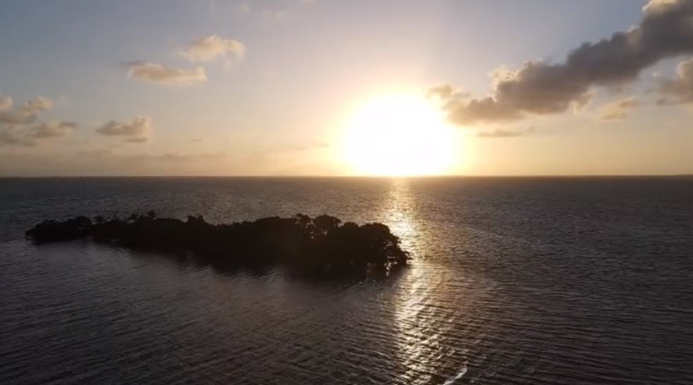 Kendi ülkelerini kurmak için bir Karayip adası satın aldılar - 4