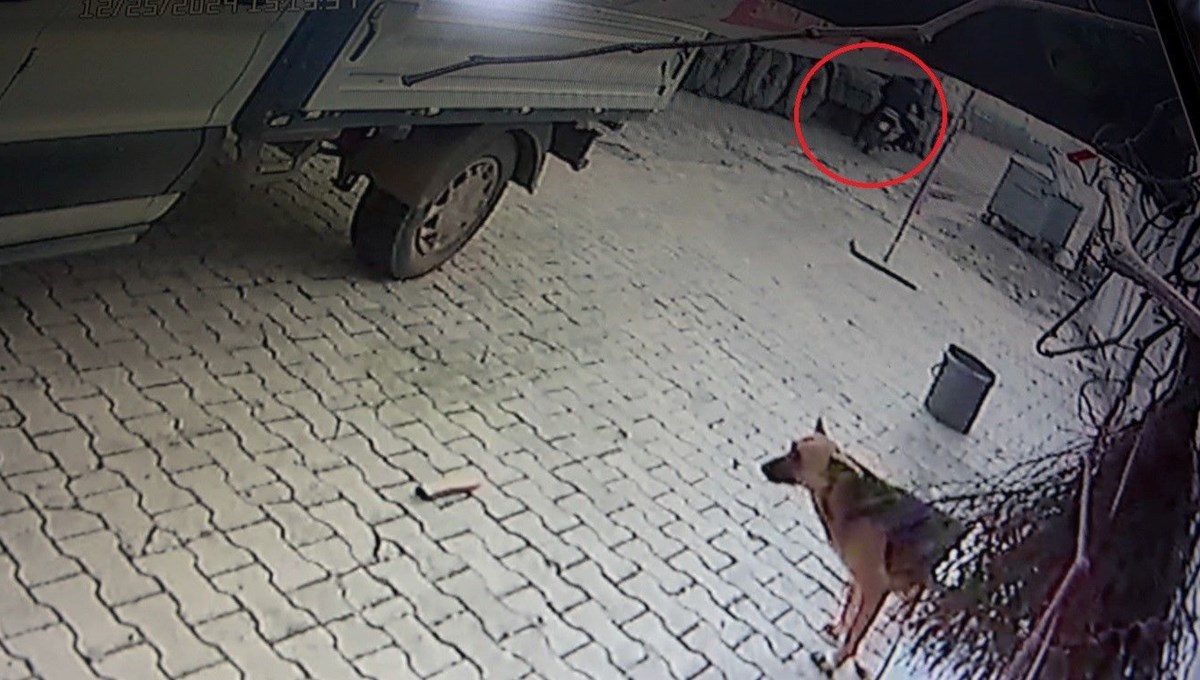 Motosikletiyle TIR'ın altında kaldı Motosikletiyle TIR'ın altında kaldı
