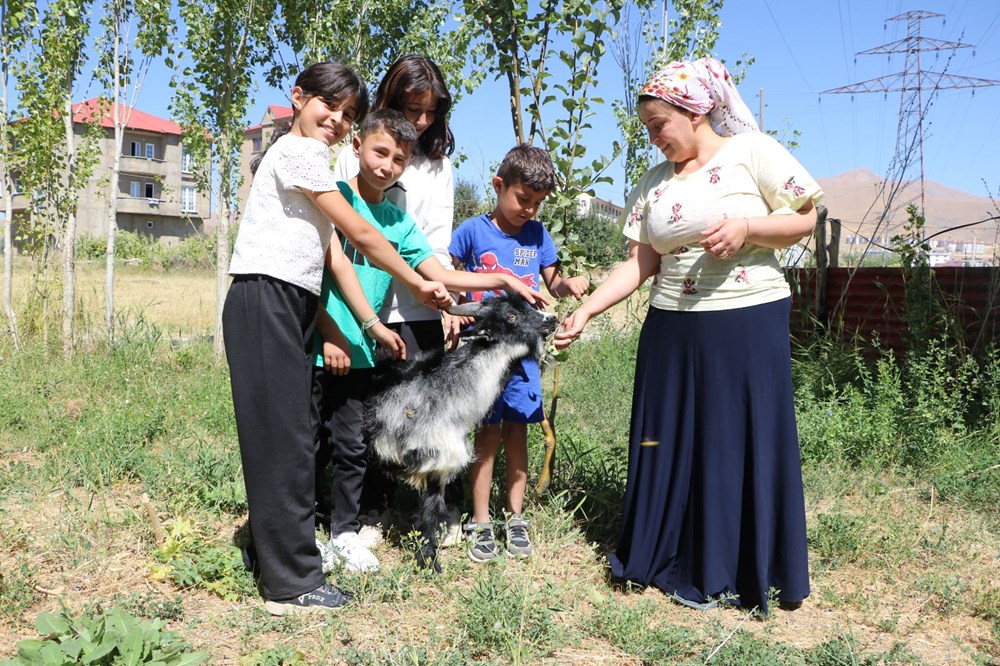 3 ayaklı oğlak "Çarşı" 7 aylık oldu - 2