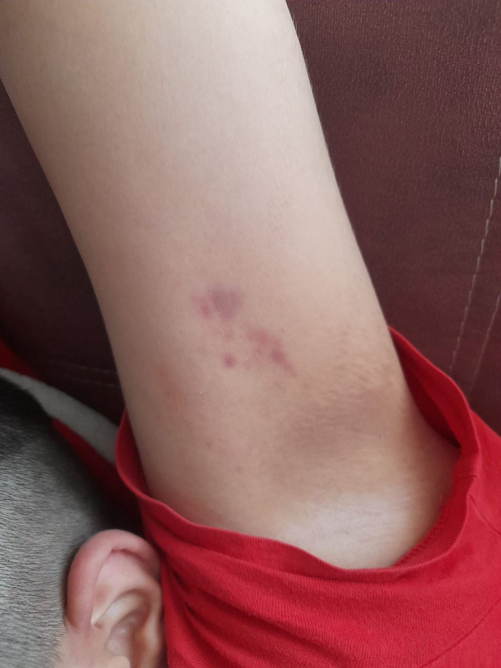 Otizmli Öğrencinin Okulda Şiddet Deneyimi: Kapsamlı Bir İnceleme 74 VeKnEo6YRUuAzpjpMbPTWQ